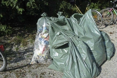 Reinigung Mühlwasser-0005