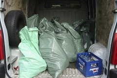 Reinigung Mühlwasser-0008